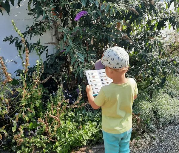 KindVlinder2