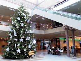 Staatsbosbeheer Kuinderbos zaagt acht meter hoge kerstboom voor de Tweede Kamer
