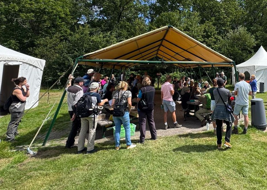 Weer veel vlinders geteld tijdens jubileum vlindertelling in het Kuinderbos
