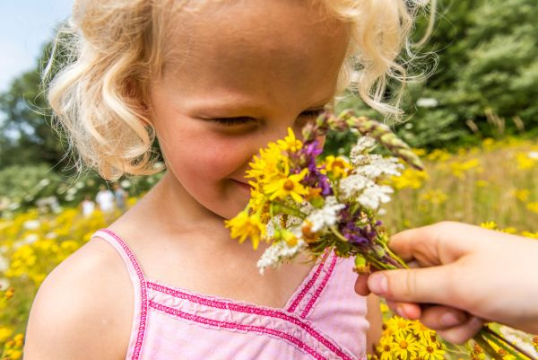 ZOMERPRET IN HET WATERLOOPBOS --LETOP !!--  VERPLAATST NAAR ZATERDAG 22 AUGUSTUS
