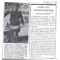 algemeen 14 04 wilde vos dood geschoten door h. hanssens algemeen 14 04 wilde vos dood geschoten door h. hanssens