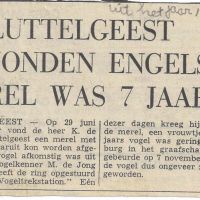 algemeen 1970 klaas de jong vind 7 jaar oude engels merel algemeen 1970 klaas de jong vind 7 jaar oude engels merel