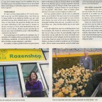2010 01 bedrijven rosa plaza 3 2010 01 bedrijven rosa plaza 3
