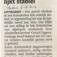 8 08 algemeen vlinders kuinderbos lijkt stabiel 8 08 algemeen vlinders kuinderbos lijkt stabiel