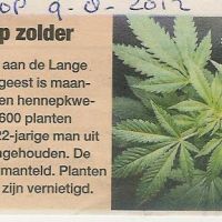9 08 algemeen hennep op zolder 9 08 algemeen hennep op zolder