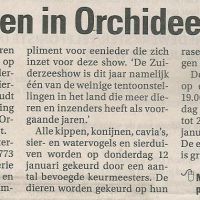 2011 12 orchidee nhoeve kleindierenshow 2011 12 orchidee nhoeve kleindierenshow