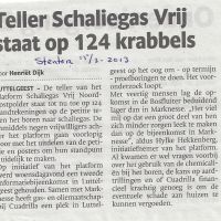 schaliegas 15 03 2013 teller staat op 124 krabbels schaliegas 15 03 2013 teller staat op 124 krabbels