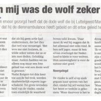 wolf 11 07 2013 zonder actie wolf zeker vernietigd wolf 11 07 2013 zonder actie wolf zeker vernietigd