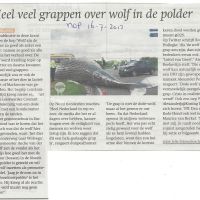 wolf 16 07 2013 wolven grappen 2 wolf 16 07 2013 wolven grappen 2