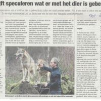 wolf 16 07 2013 wolvenexpert mocht niet helpen wolf 16 07 2013 wolvenexpert mocht niet helpen