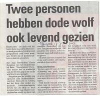 wolf 17 07 2013 2 pers hebben wolf levend gezien wolf 17 07 2013 2 pers hebben wolf levend gezien