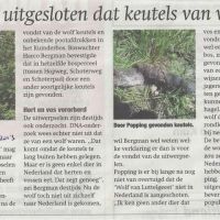 wolf 29 10 2013 keutels nog niet uitgesloten dat die van wolf zi wolf 29 10 2013 keutels nog niet uitgesloten dat die van wolf zi