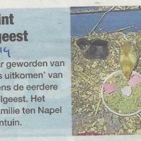 algemeen 3 09 2014 fam ten napel wint kuikenachtie algemeen 3 09 2014 fam ten napel wint kuikenachtie
