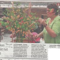 bedrijven 5 11 201414 bloemschikken kuiken schikt het best bedrijven 5 11 201414 bloemschikken kuiken schikt het best
