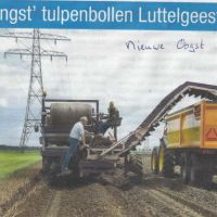 bedrijven beste opbrengst tulpen jan v heugten bedrijven beste opbrengst tulpen jan v heugten