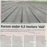 bedrijven 24 06 15 kersen onder 65 ha dak