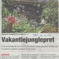 bedrijven 12 10 16 vacantiejungle pret bedrijven 12 10 16 vacantiejungle pret