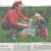 bedrijven 5 10 16 appels plukken bij verhage bedrijven 5 10 16 appels plukken bij verhage