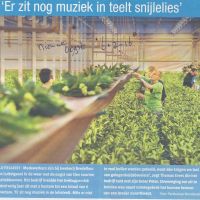 bedrijven 6 02 16 bredefleur en zit nog muziek in snijlelies bedrijven 6 02 16 bredefleur en zit nog muziek in snijlelies