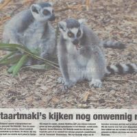 2018 bedrijven9 2018 bedrijven9