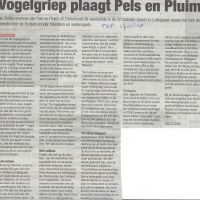 bedrijven 17 01 2018 vogelgriep plaagt pels en pluim bedrijven 17 01 2018 vogelgriep plaagt pels en pluim