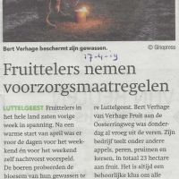 2019 Bedrijven vorst 2019 Bedrijven vorst