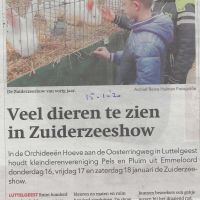 Bedrijven 15 01 2020 Veel dieren te zien in Zuiderzeeshow Bedrijven 15 01 2020 Veel dieren te zien in Zuiderzeeshow