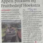Bedrijven 15 09  Appels plukken bij Hoekstra