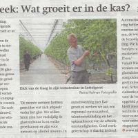 Bedrijven 31 03 Dick van de Gaag in zijn tomatenkas