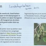 algemeen zomer landschapsgeheer elzenproppen thies hanssens