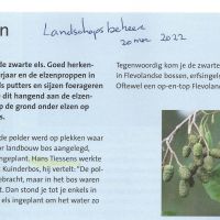algemeen zomer landschapsgeheer elzenproppen thies hanssens algemeen zomer landschapsgeheer elzenproppen thies hanssens