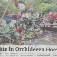 bedrijven 23 02 drukte in de orchideeenhoeve bedrijven 23 02 drukte in de orchideeenhoeve