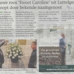 bedrijven 29 11 nieuwe roos sweet caroline geteeld door brockhoff