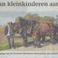 algemeen 30 10 mooi eerbetoon kleinkinderen aan polderpioniers algemeen 30 10 mooi eerbetoon kleinkinderen aan polderpioniers