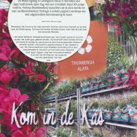 bedrijven verslag van verschillende bedrijven kom in de kas bedrijven verslag van verschillende bedrijven kom in de kas