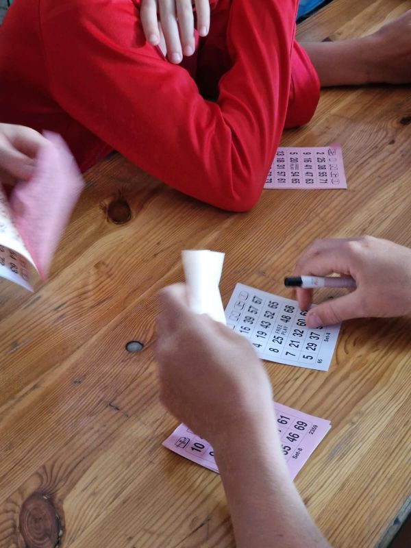 Bingo23