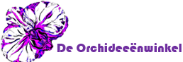 De Orchideeënwinkel